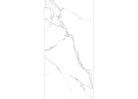 Керамогранит NT Ceramic NTT3004P Bianco Carrara 120x240