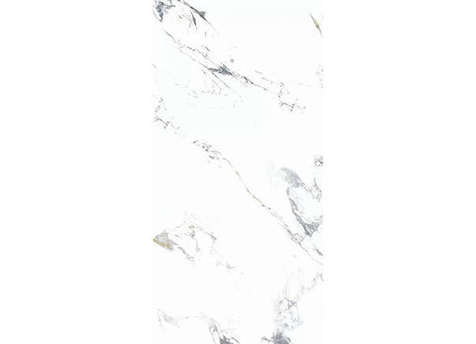 Керамогранит NT Ceramic NTT3003P Arabescato 120x240