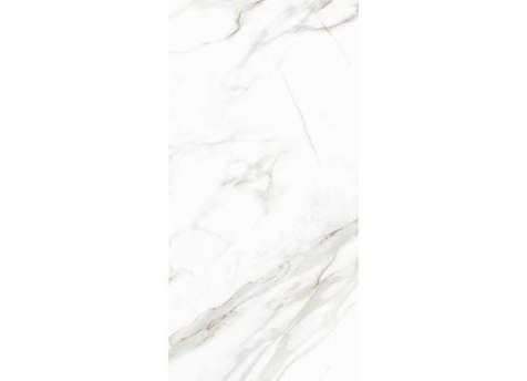 Керамогранит Delacora D120210M Calacatta Andrea 60x120