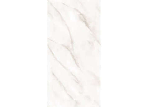 Керамогранит NT Ceramic NTT99525P Empire Pearl Endless 60х120