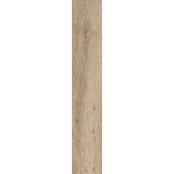 Керамогранит StaroWood Forest Natural Matt 20x120