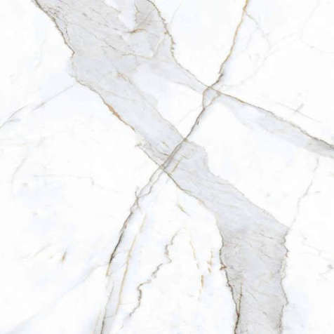 Керамогранит Primavera Dario NR101 60x60